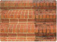 Brick Cleaning